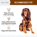 Stop the Poo Coprophagia Soft Chews 2 Pack