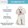 Ear Cleaner 2 Pack