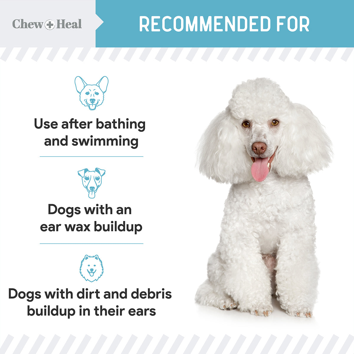 Ear Cleaner 2 Pack