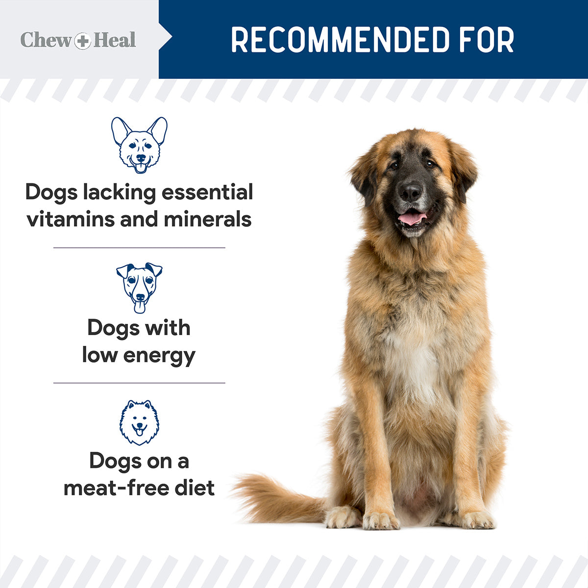 Wild Alaskan Multivitamin Soft Jerky Treats