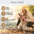 Omega Peanut Butter Skin + Coat Soft Chews