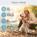 12-In-1 Daily Multivitamin Powder for Dogs 2 Pack