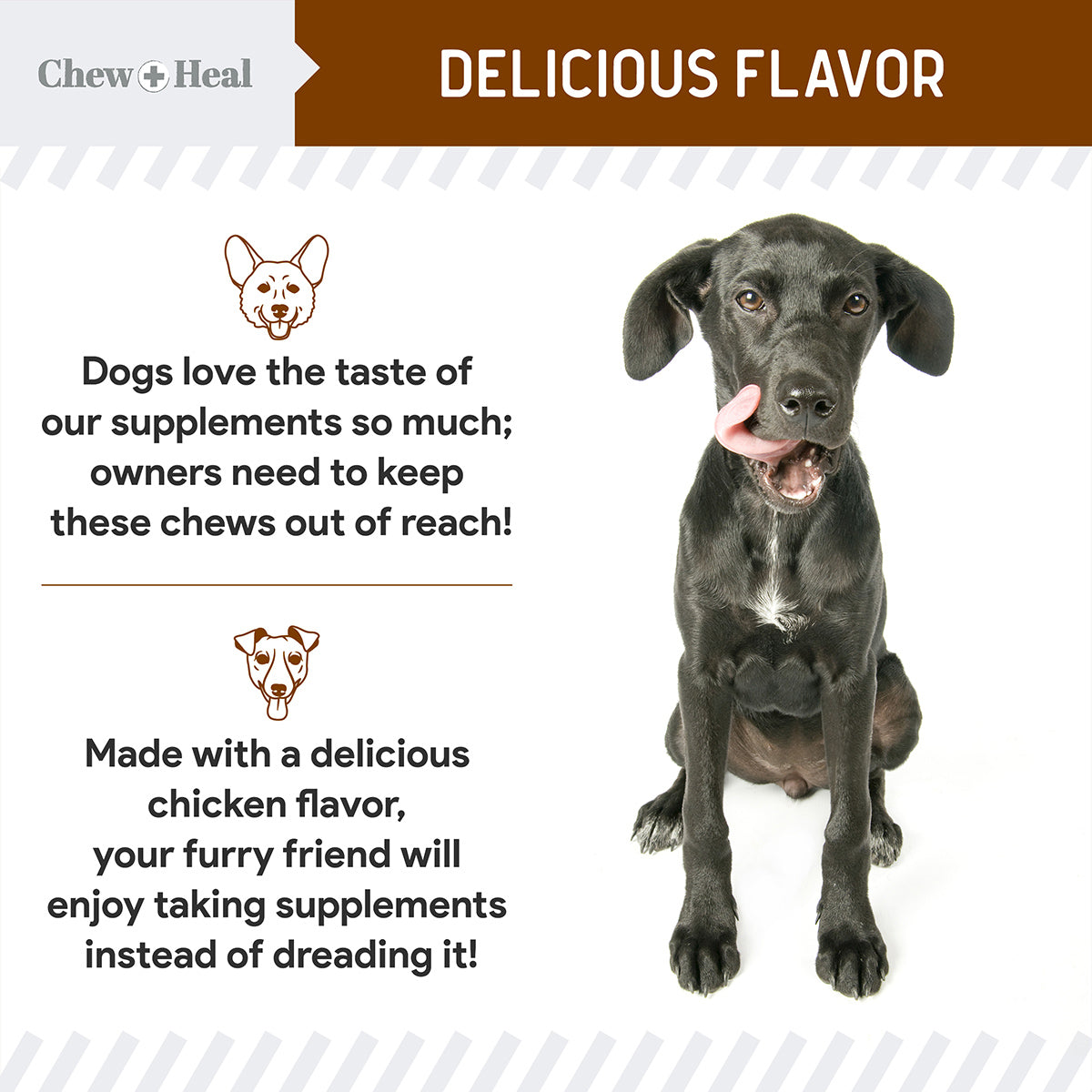 Stop the Poo Coprophagia Soft Chews 2 Pack