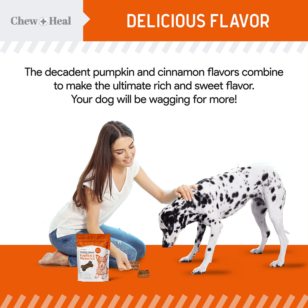 Crunchy Treats with Pumpkin & Prebiotics