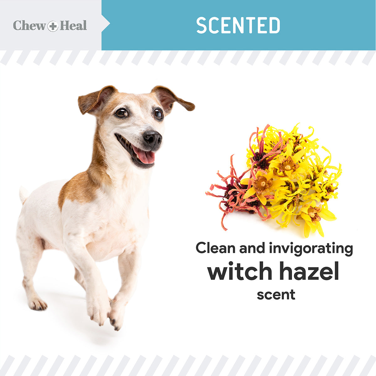 Ear Cleaner 2 Pack