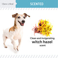 Ear Cleaner 2 Pack