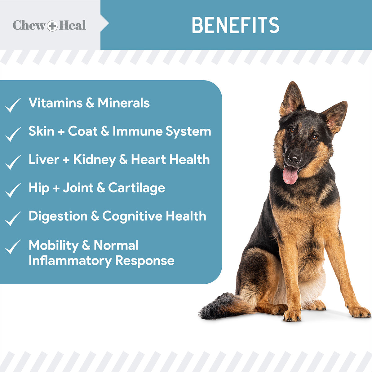 12-In-1 Daily Multivitamin Powder for Dogs 2 Pack