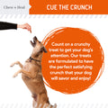 Crunchy Treats with Pumpkin & Prebiotics