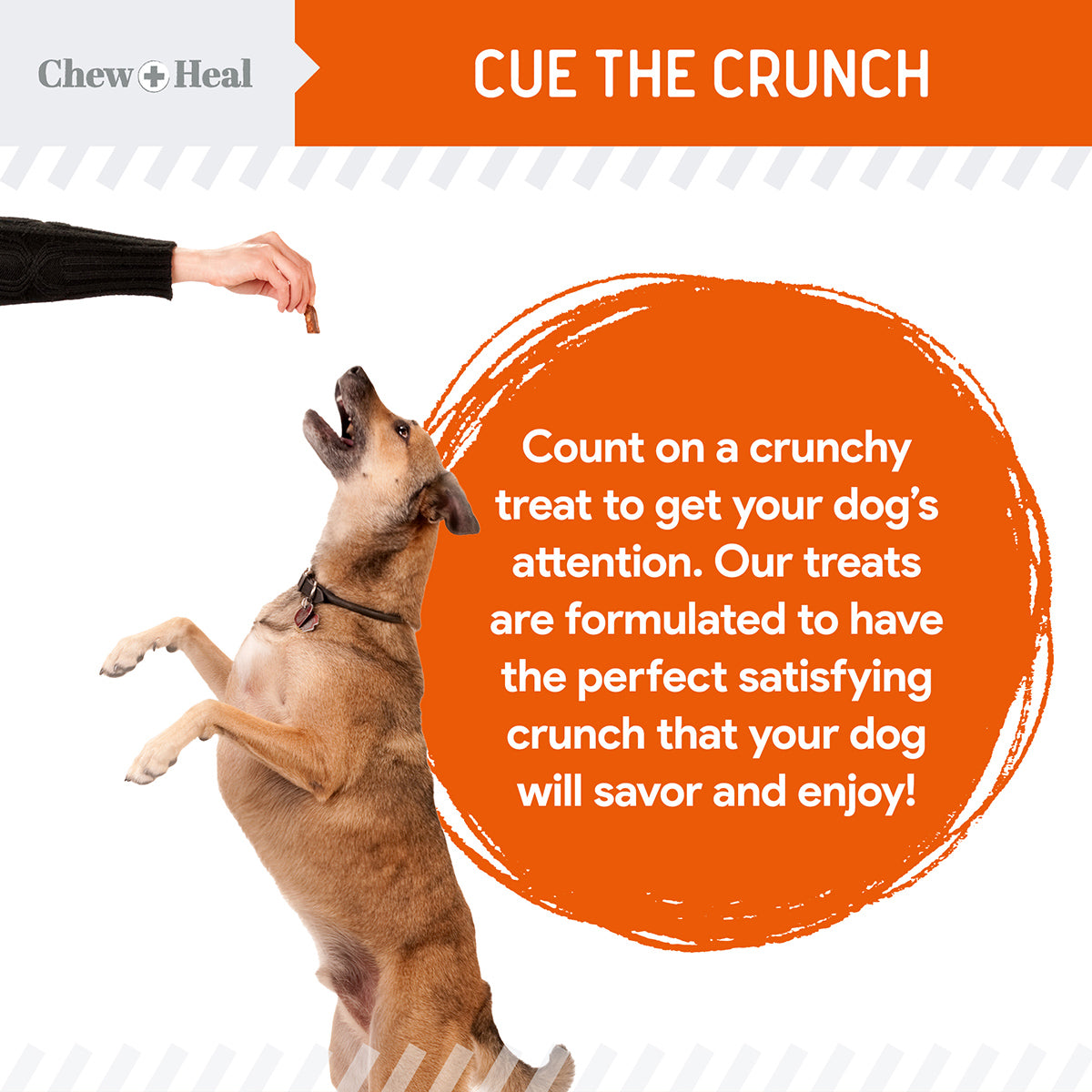 Crunchy Treats with Pumpkin & Prebiotics