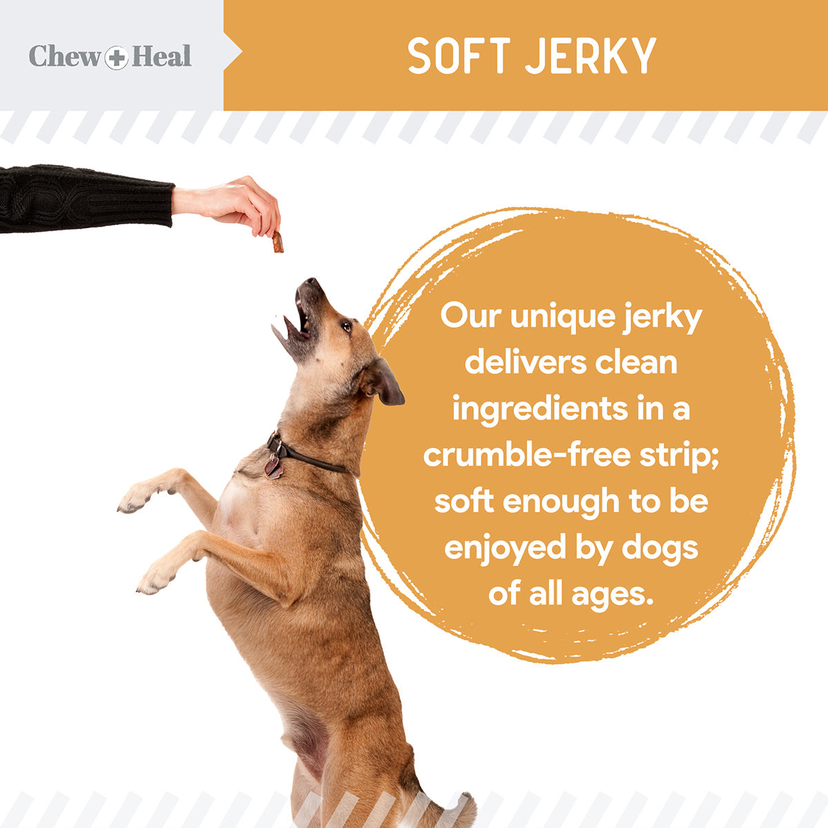 Wild Alaskan Omega Soft Jerky Treats