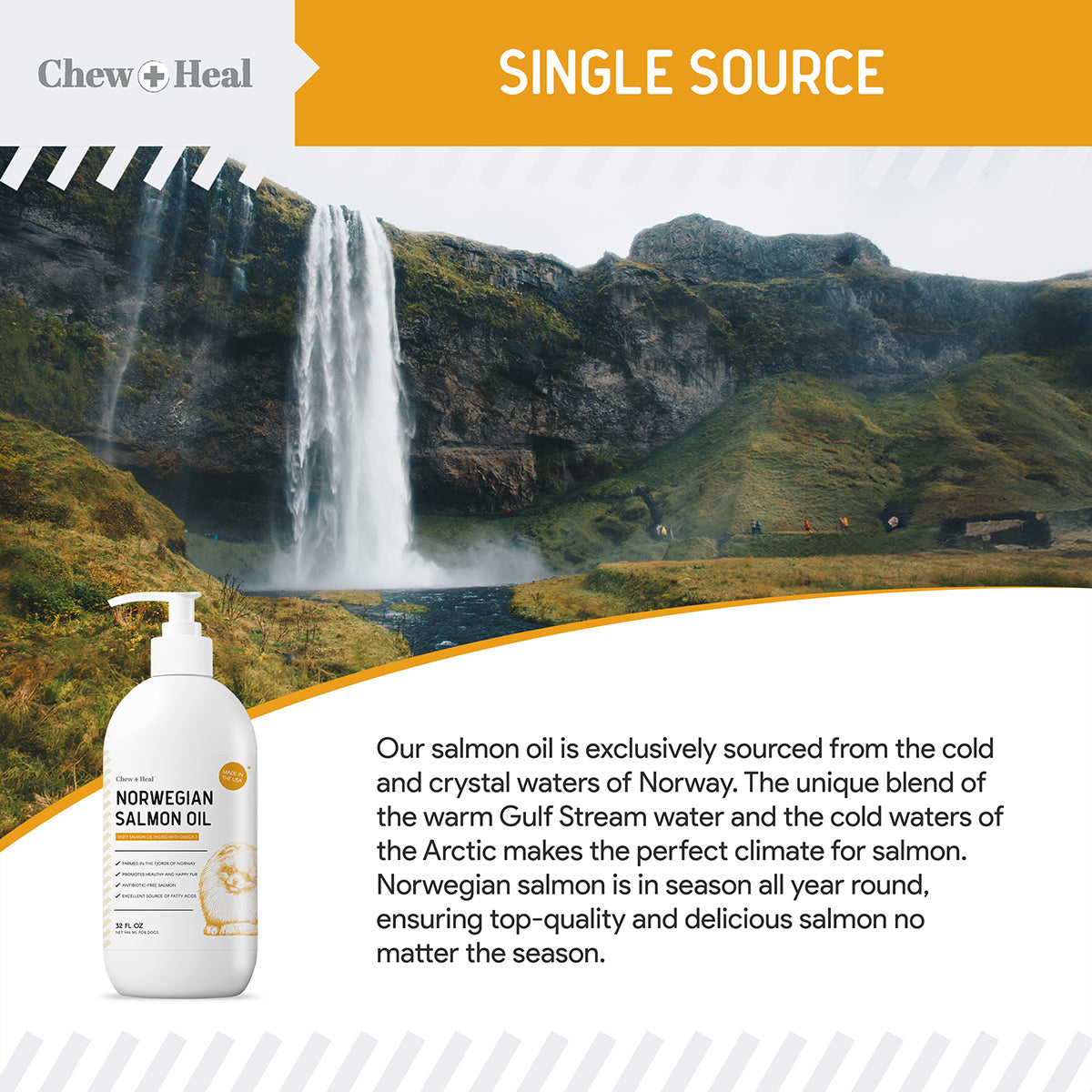 Norwegian Salmon Oil