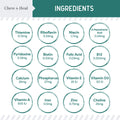 Essential 12-in-1 Multivitamin 2 Pack