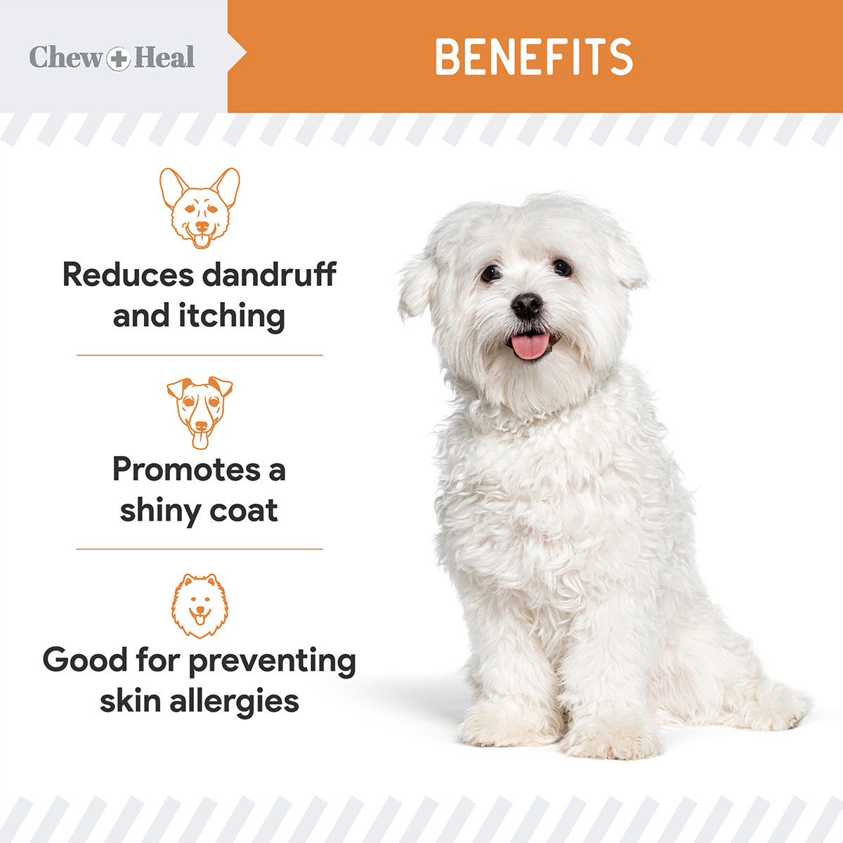 Mini Wild-Caught Omega-3 Softgels for Dogs
