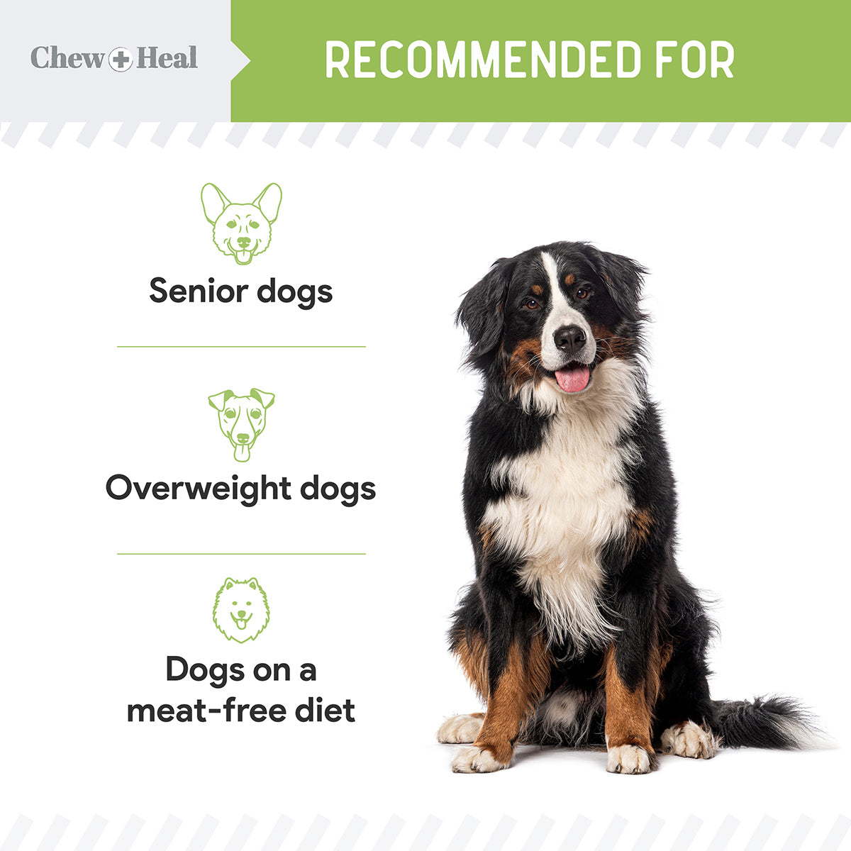 Plant-Based Low-Calorie Soft Jerky Treats