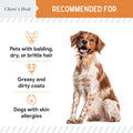 Mini Wild-Caught Omega-3 Softgels for Dogs
