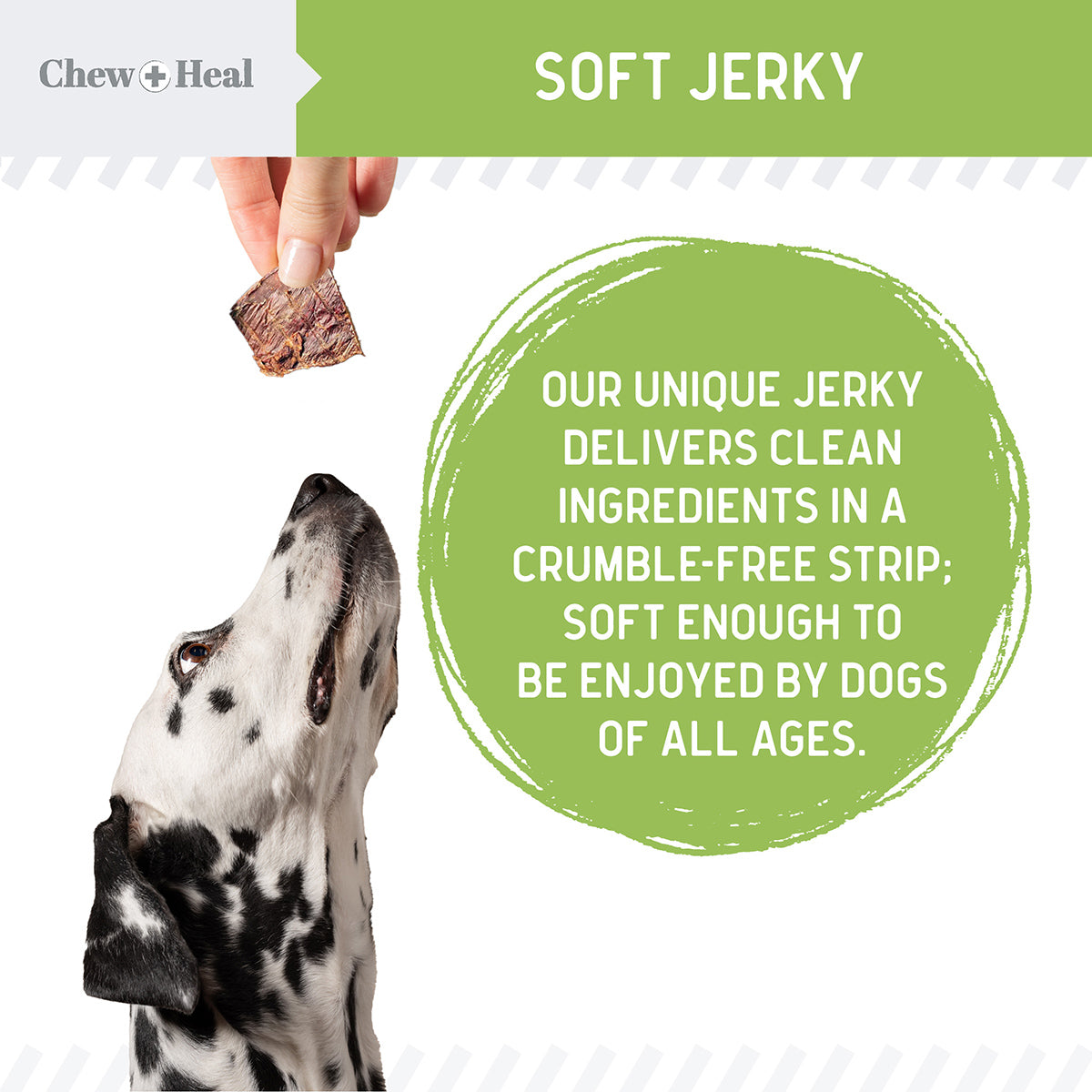 Plant-Based Low-Calorie Soft Jerky Treats