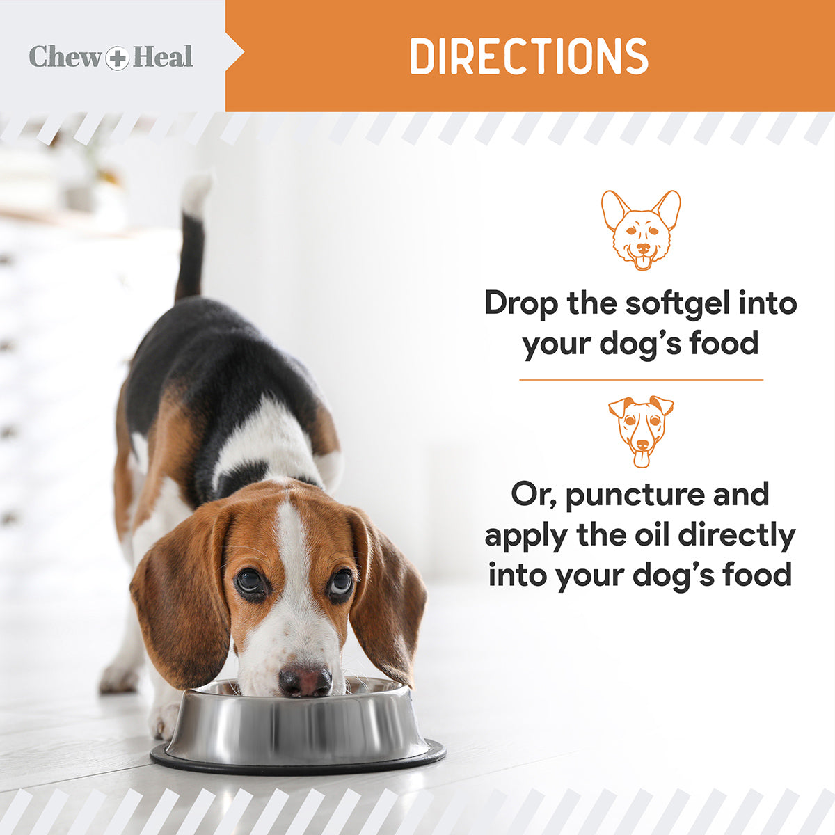 Mini Wild-Caught Omega-3 Softgels for Dogs