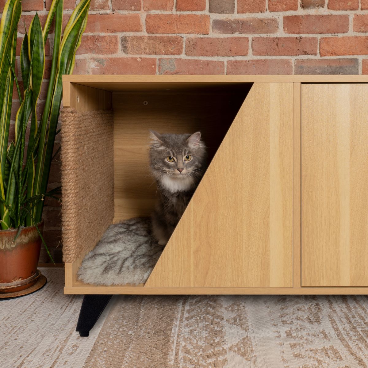 Jessie Pet Cabinet