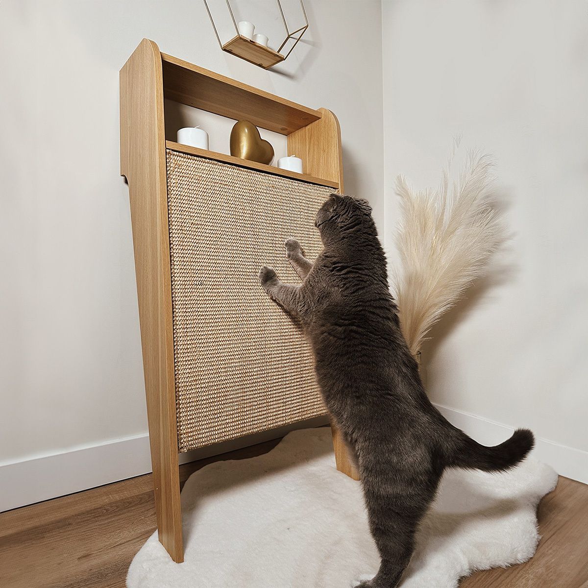 Wesley Scratching Post
