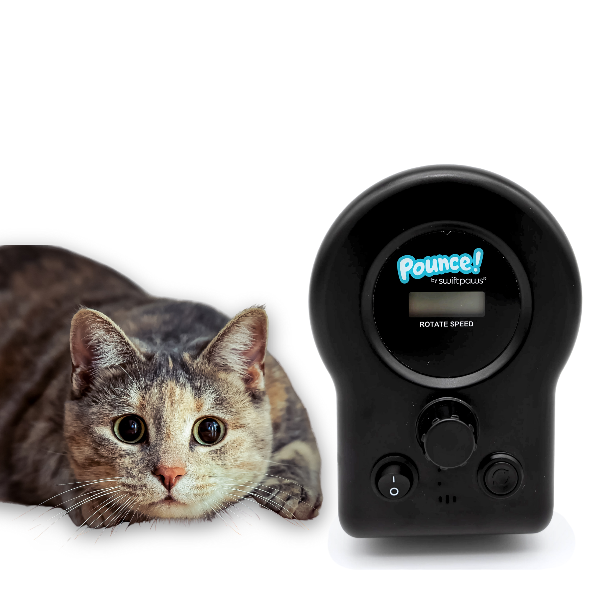 Product Image for SwiftPaws Pounce!