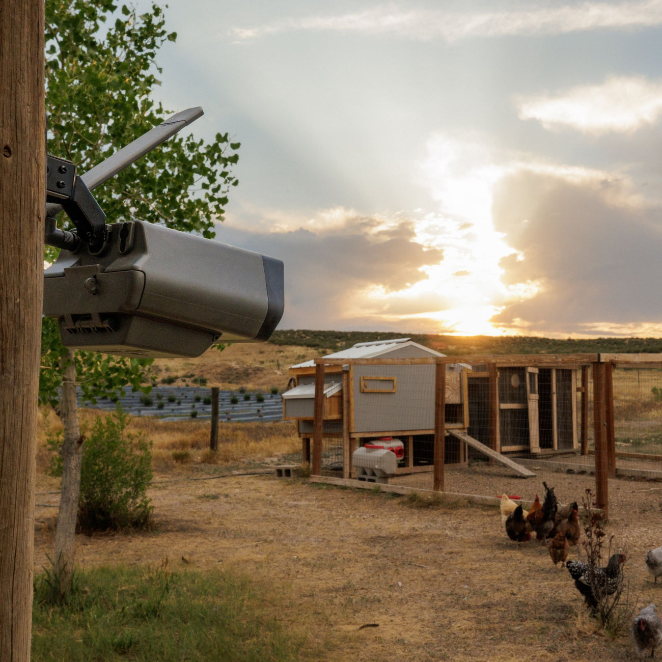 Defend Cam + Rechargeable Battery Bundle (2-Pack)