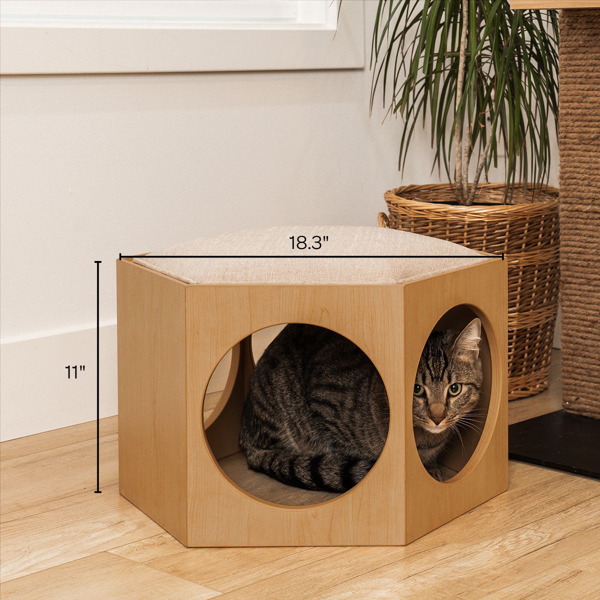 Suki Cat Stool and Shelf