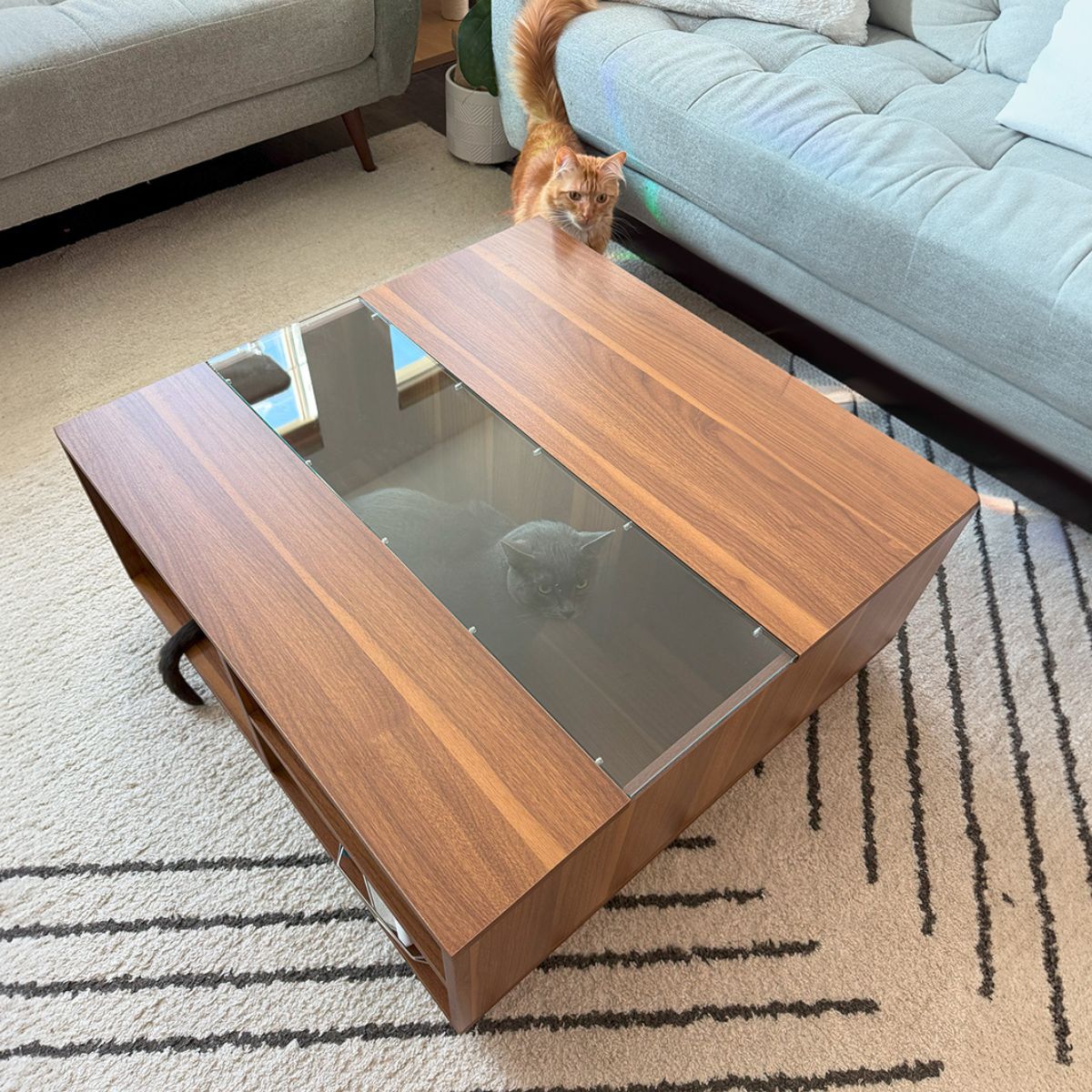 Second Product Image for Coco Coffee Table