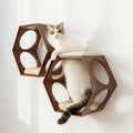 Suki Cat Stool and Shelf