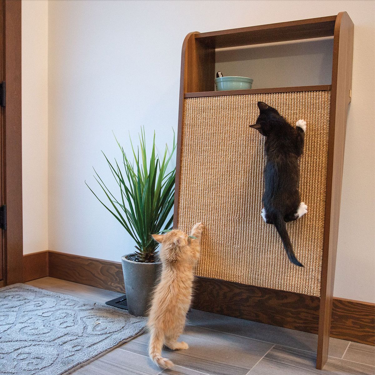 Second Product Image for Wesley Scratching Post