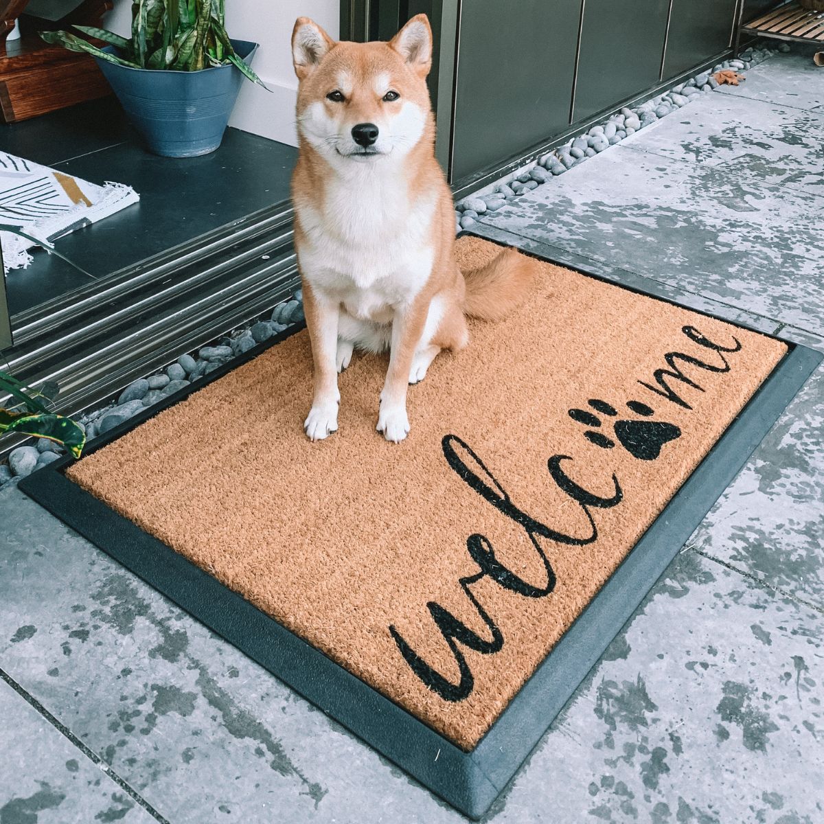 Welcome + Paw Convertible Entrance Doormat Set