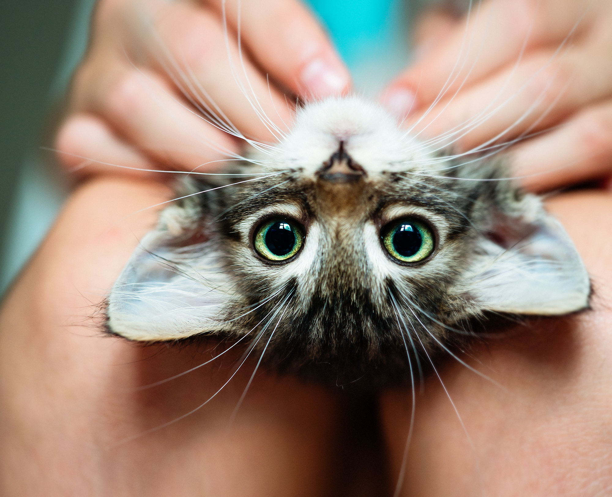 Mobile Slider Background