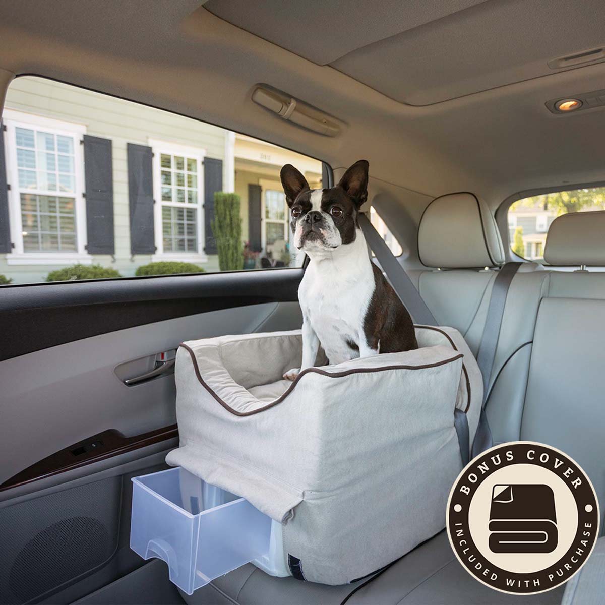 small-buckskin-medium-buckskin