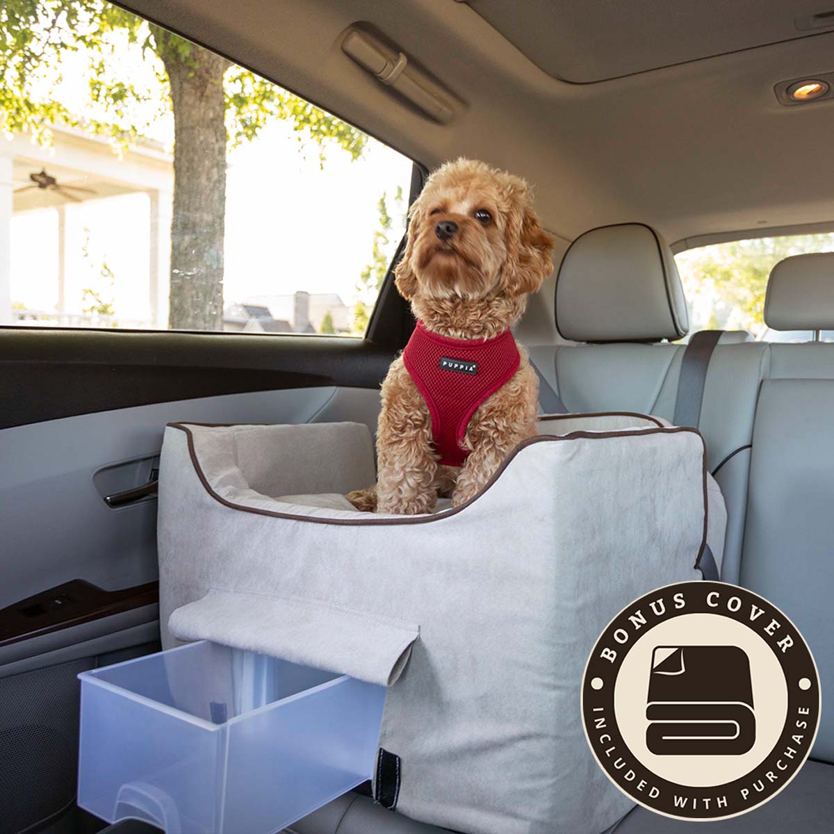 small-buckskin-medium-buckskin