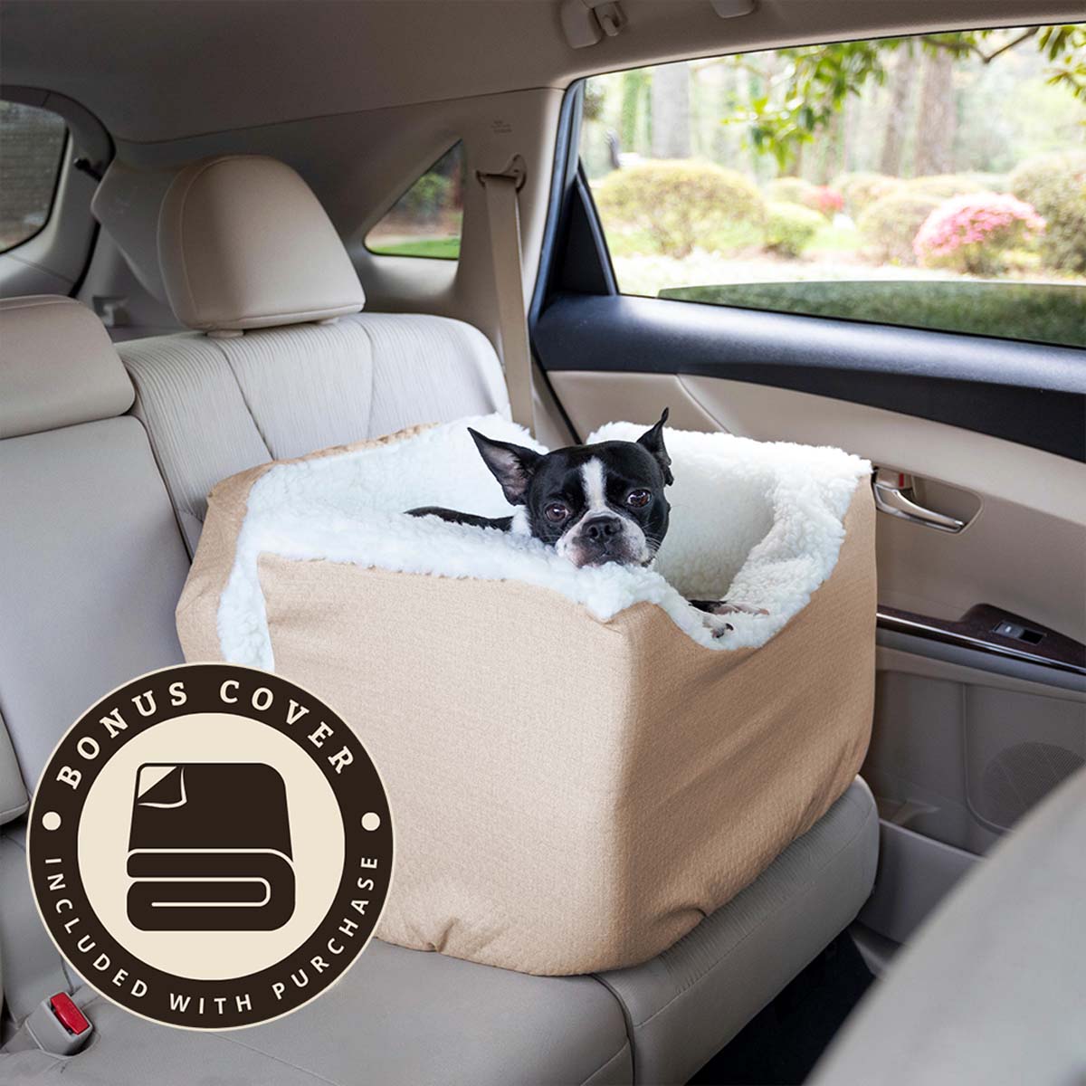 small-birch-medium-birch