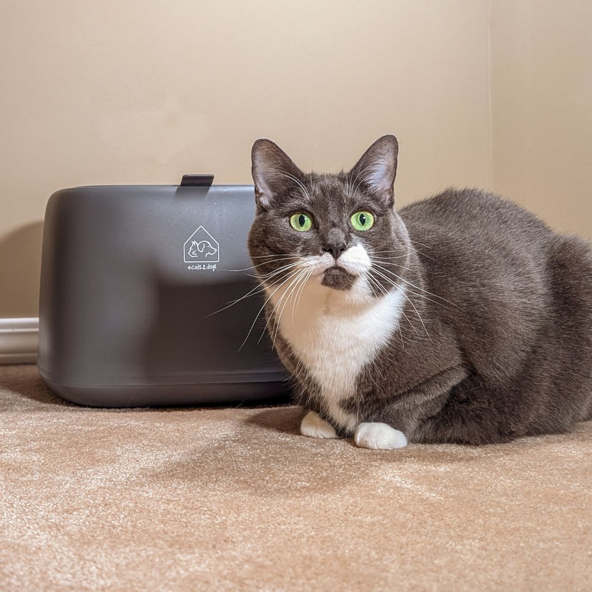 Kibble Food Container (10L)